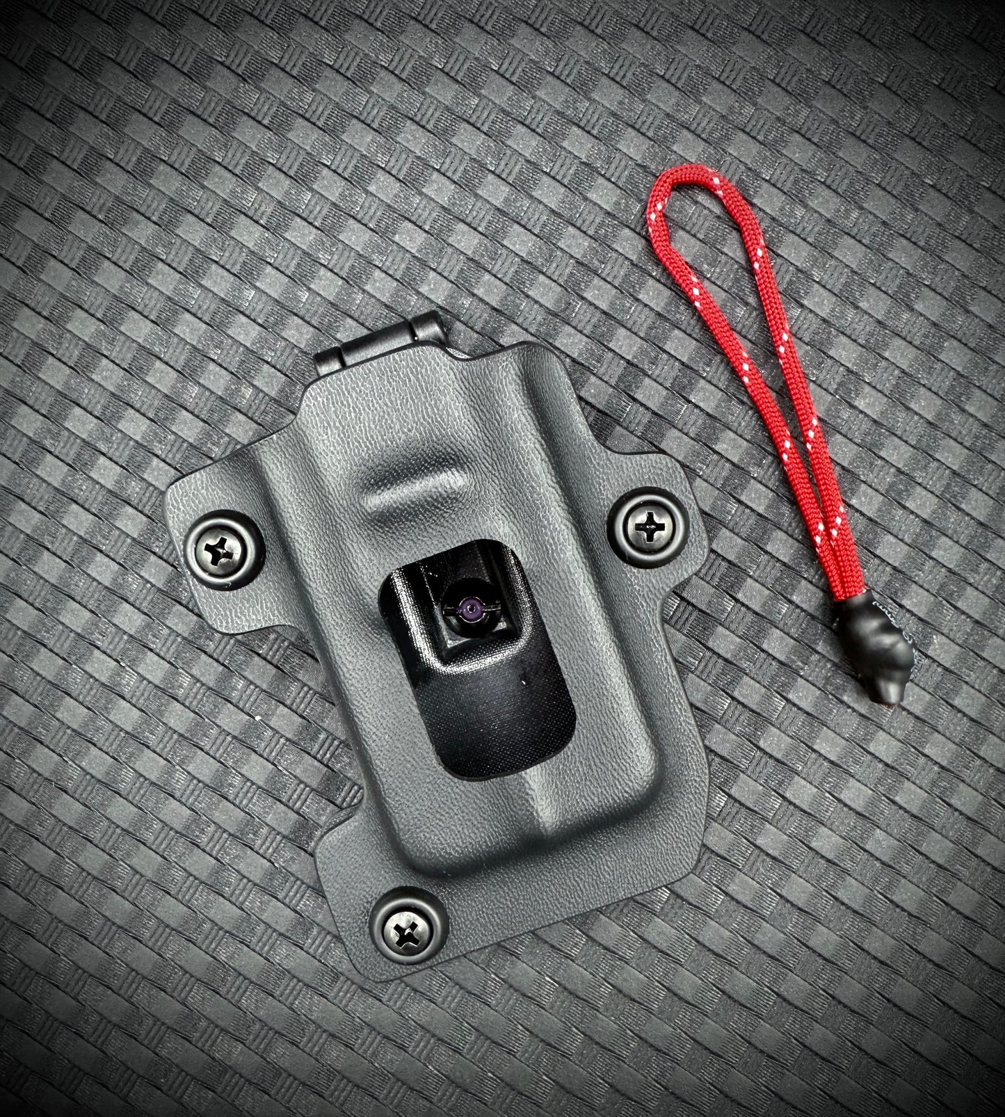 E-Collar Technologies "The Fob"